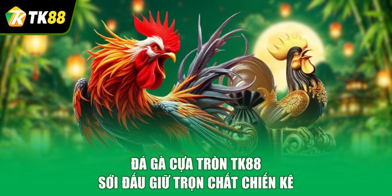 đá gà cựa tròn