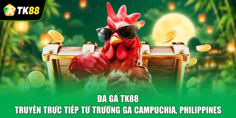 Đá gà TK88 truyền trực tiếp từ trường gà Campuchia, Philippines