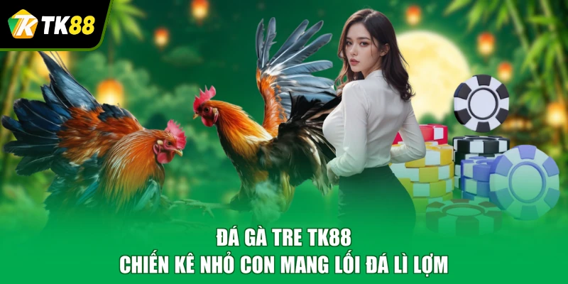 đá gà tre