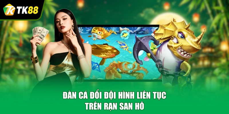 Đàn cá đổi đội hình liên tục trên rạn san hô