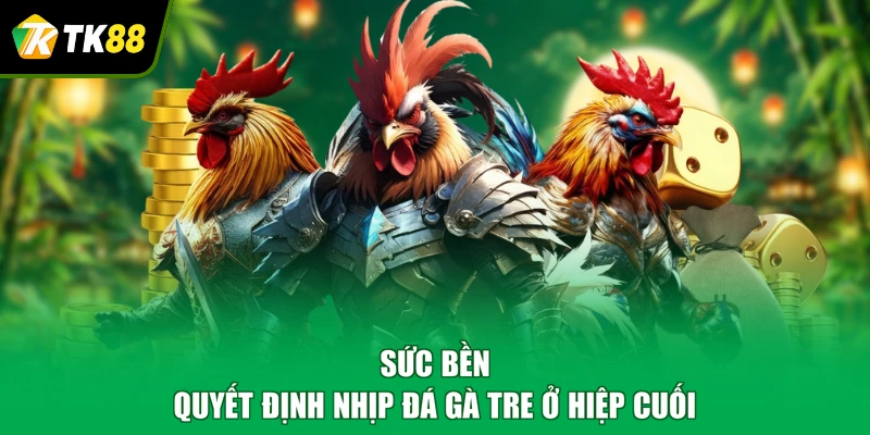 Sức bền quyết định nhịp đá gà tre ở hiệp cuối