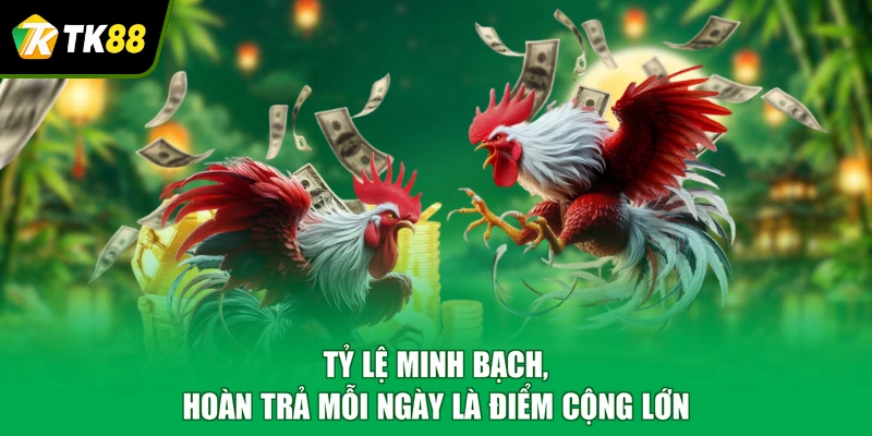 Tỷ lệ minh bạch, hoàn trả mỗi ngày là điểm cộng lớn