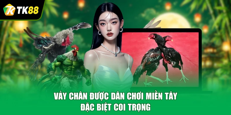 Vảy chân được dân chơi miền Tây đặc biệt coi trọng